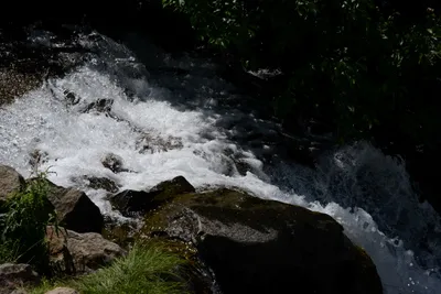 DSC_3210 (Large).JPG